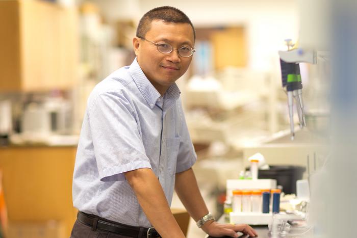 University of Tennessee professor Qiang He