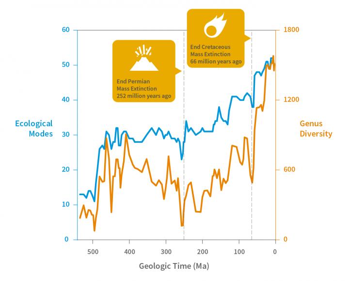 The Resiliency of Life