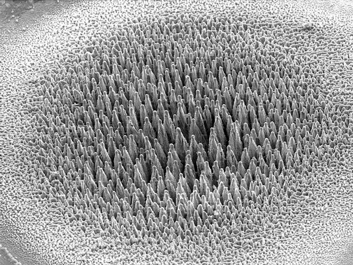 Black Silicon Needle-Shaped Surface Structure