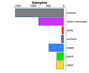 Sources of Klebsiella bacteria