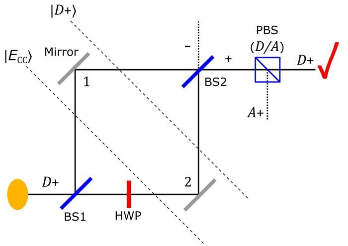 Interferometer used in quantum Cheshire cat scenario