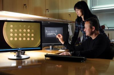 Studying GAA/TTC Expansions