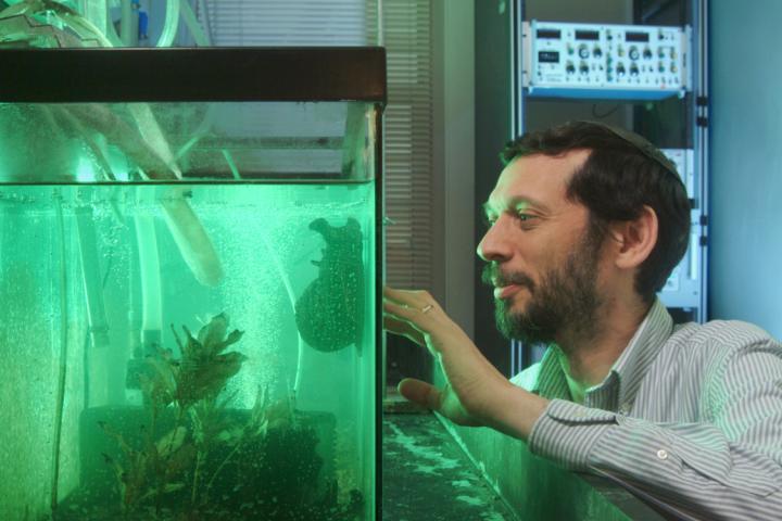 Hillel Chiel, Case Western Reserve University