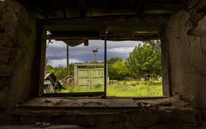 Wildlife seen through ruins