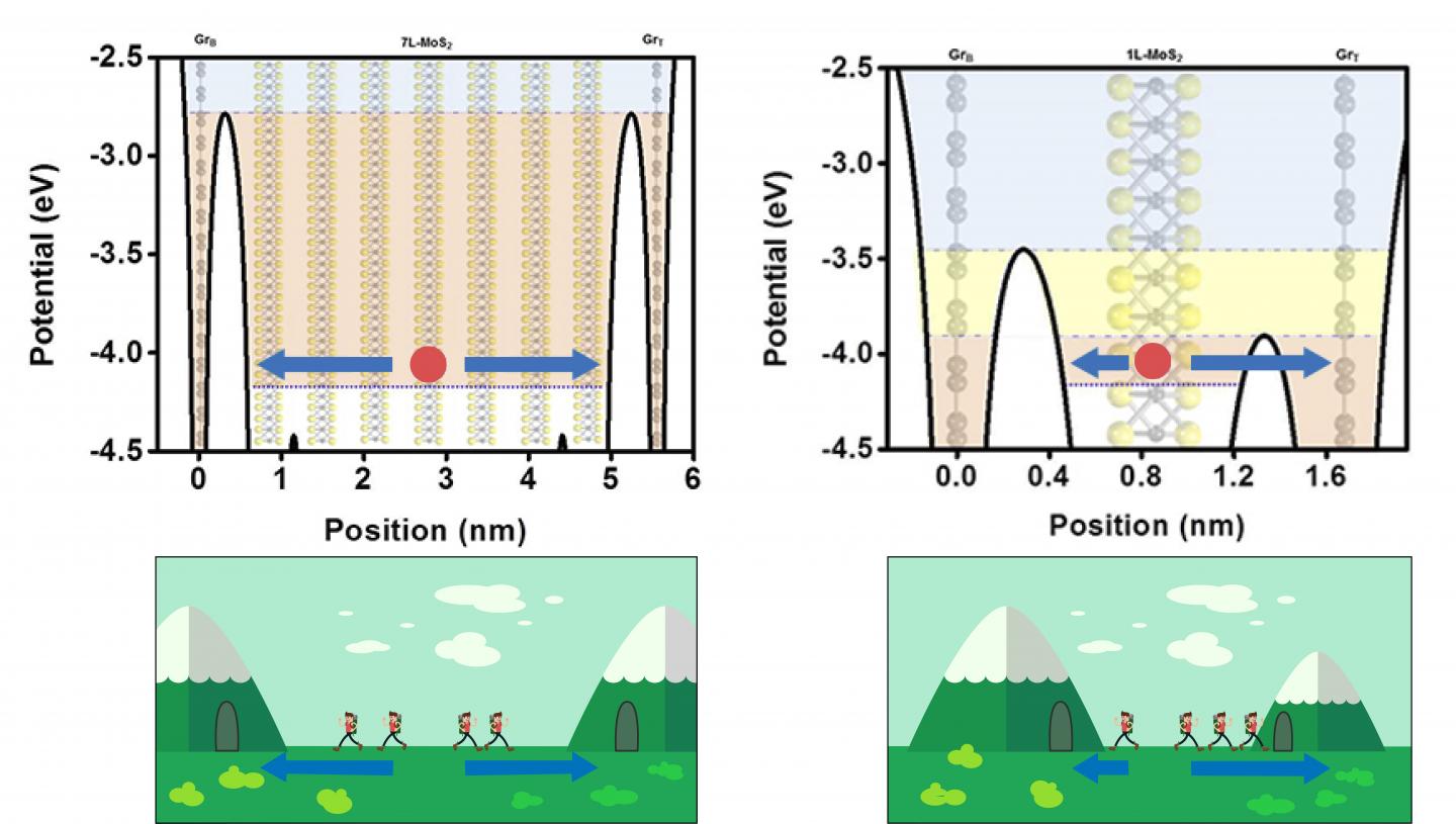 Why Does the Device with one-layer MoS2 Generate More Photocurrent than the Seven-layer MoS2?