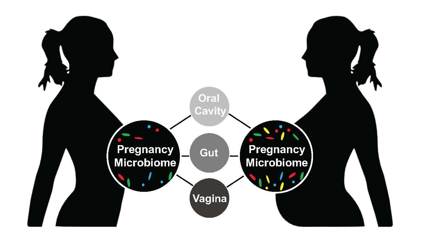 Pregnancy Microbiome