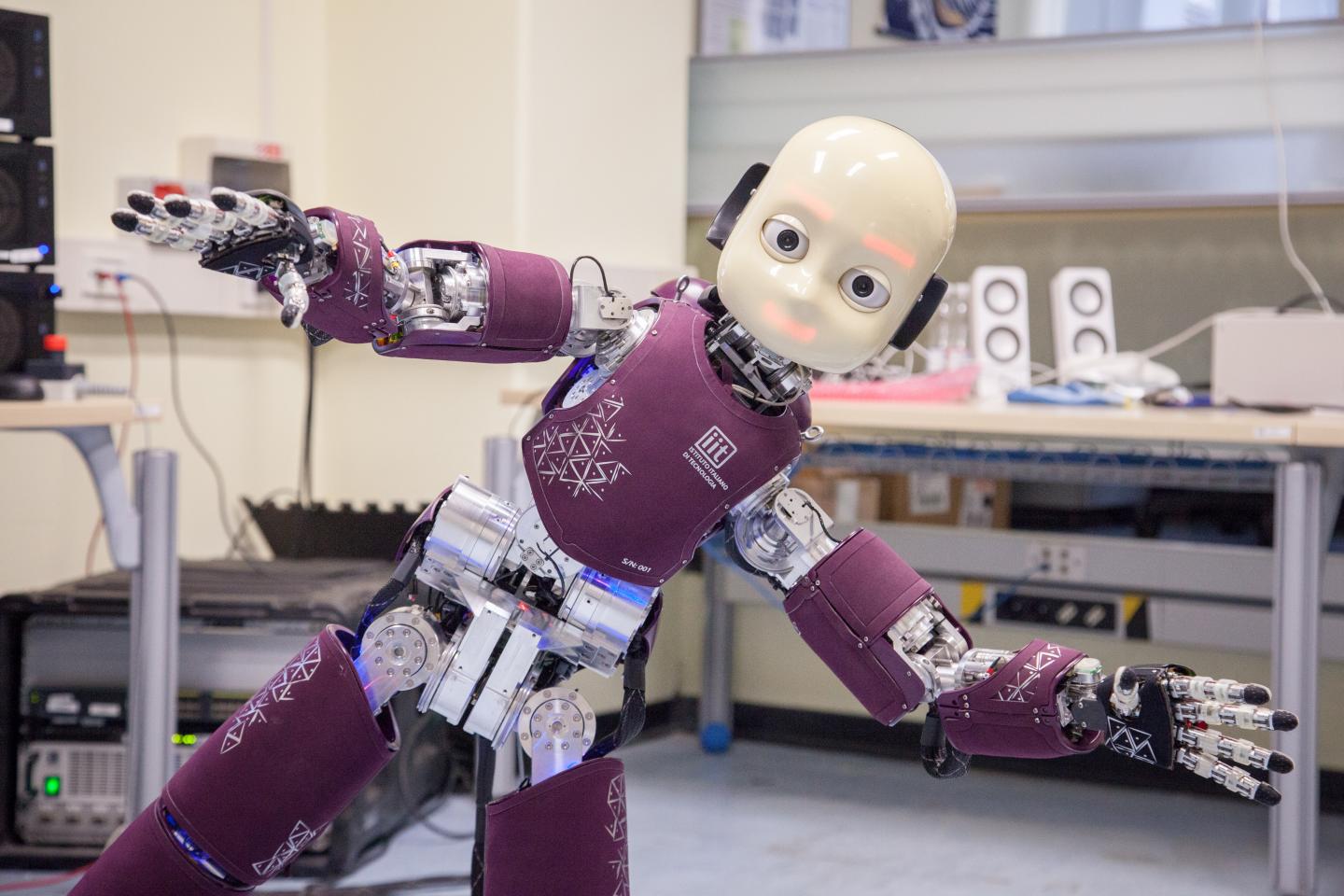 iCub Humanoid Robot Balancing