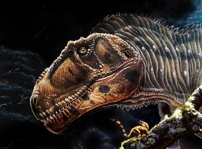 A new giant dinosaur gives insight into why m