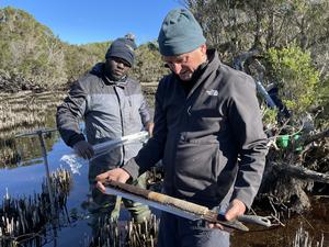 Researchers in the field