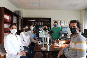 Image of the University of Córdoba team that carried out the research