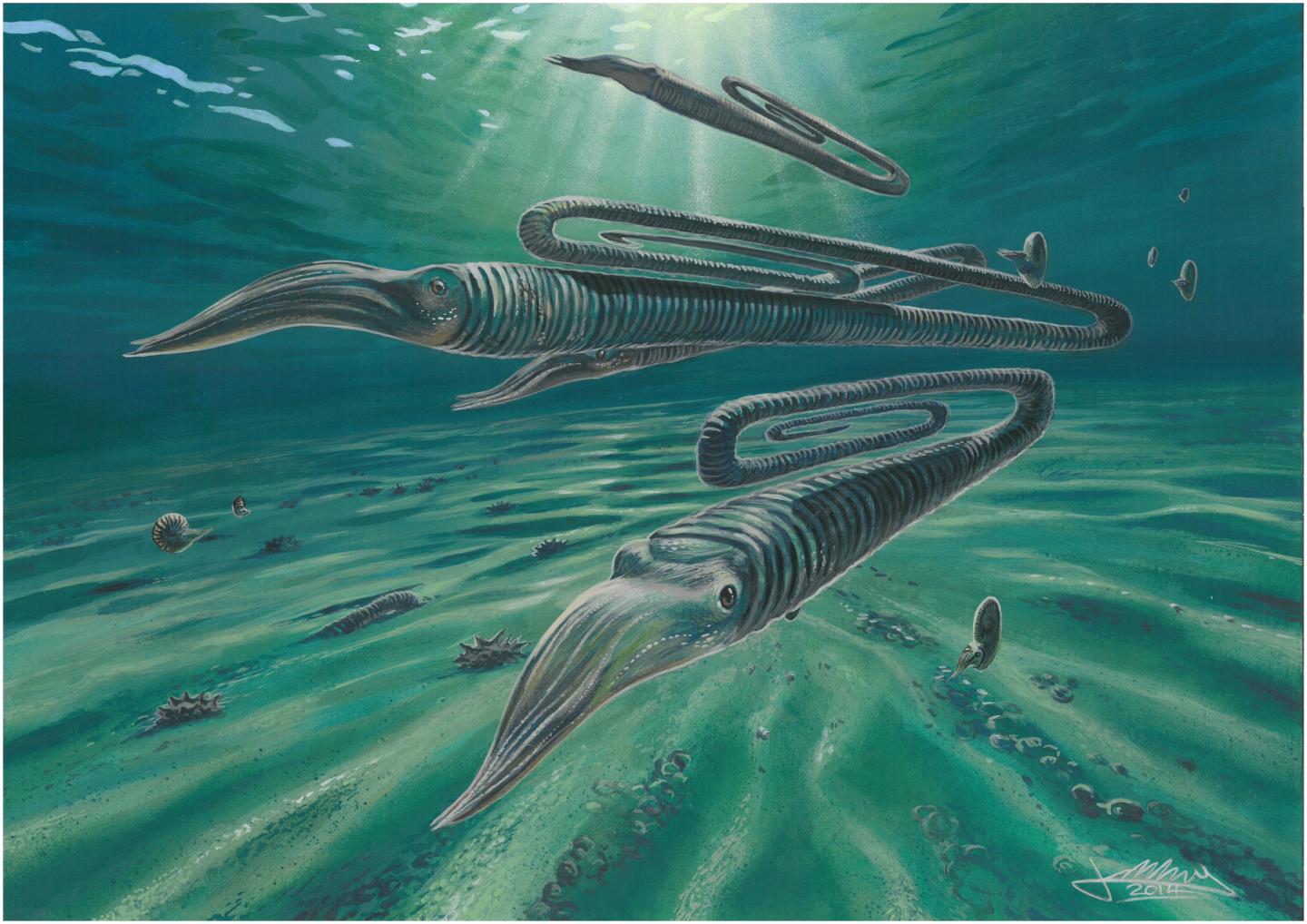 Typical Cretaceous Marine Environment in Antarctica