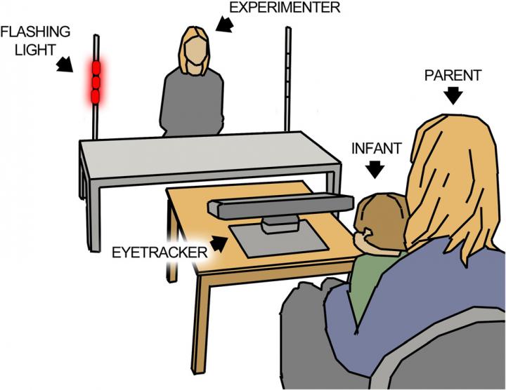 Illustration of the Experiment Designed to Assess Initiation of Joint Attention in Infancy