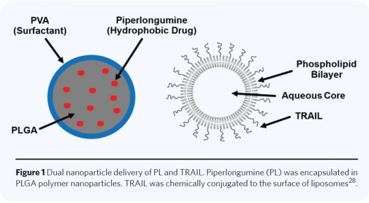 Dual Nanoparticle Delivery of PL and TRAIL