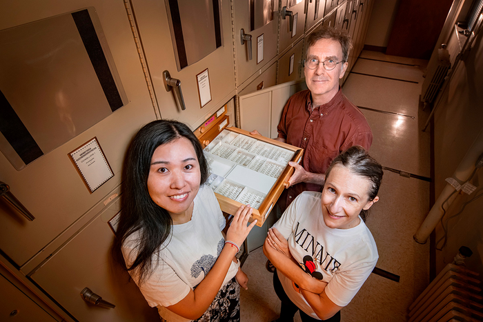 Research team in INHS insect collection