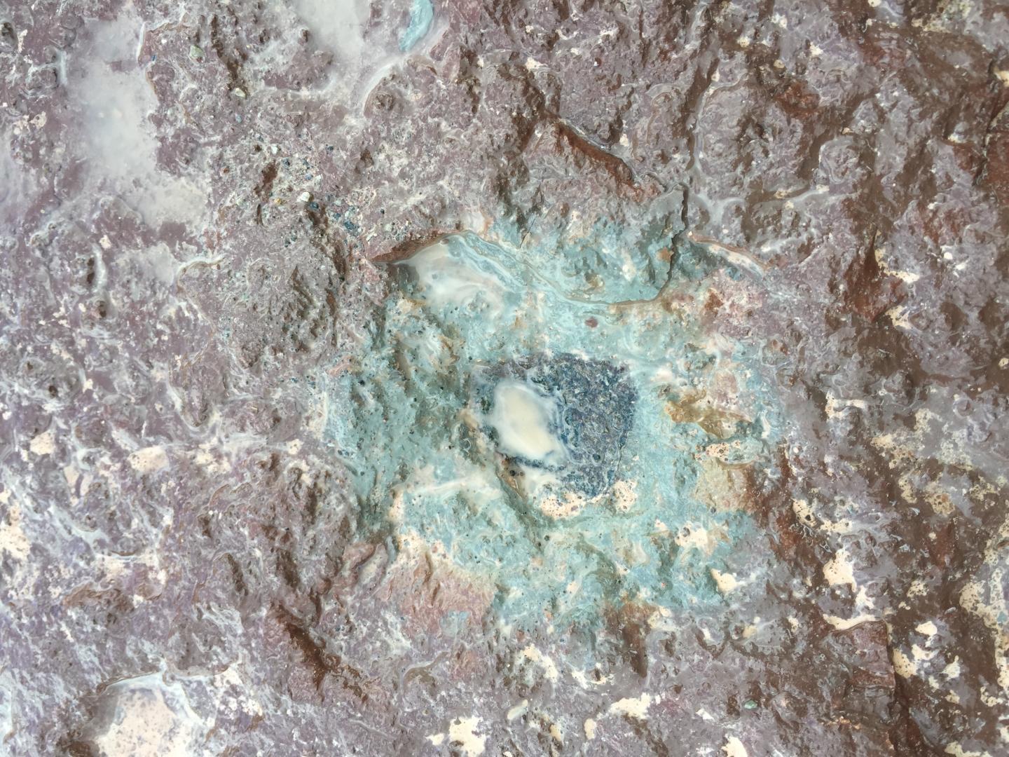New Type of Meteorite Linked to Ancient Asteroid Collision