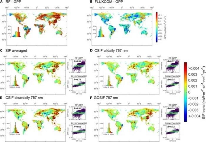 Spatial distribution patterns of trends in GPP and SIF during the growing season.