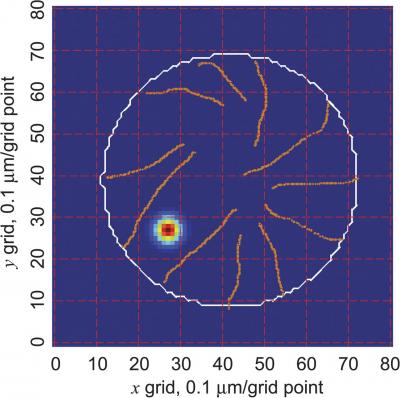 Model of Molecular Diffusion