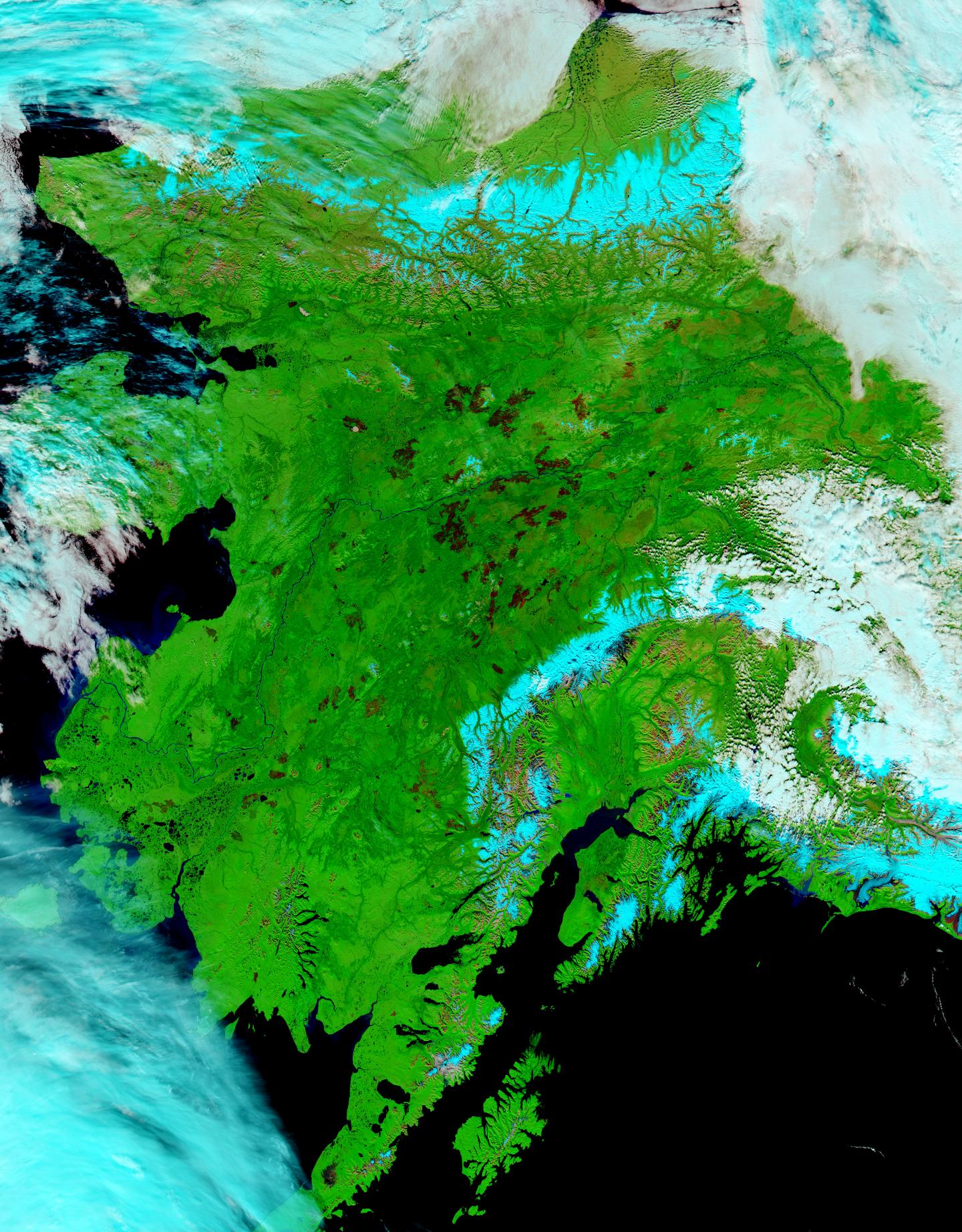 False Color Alaska Sept. 1, 2015