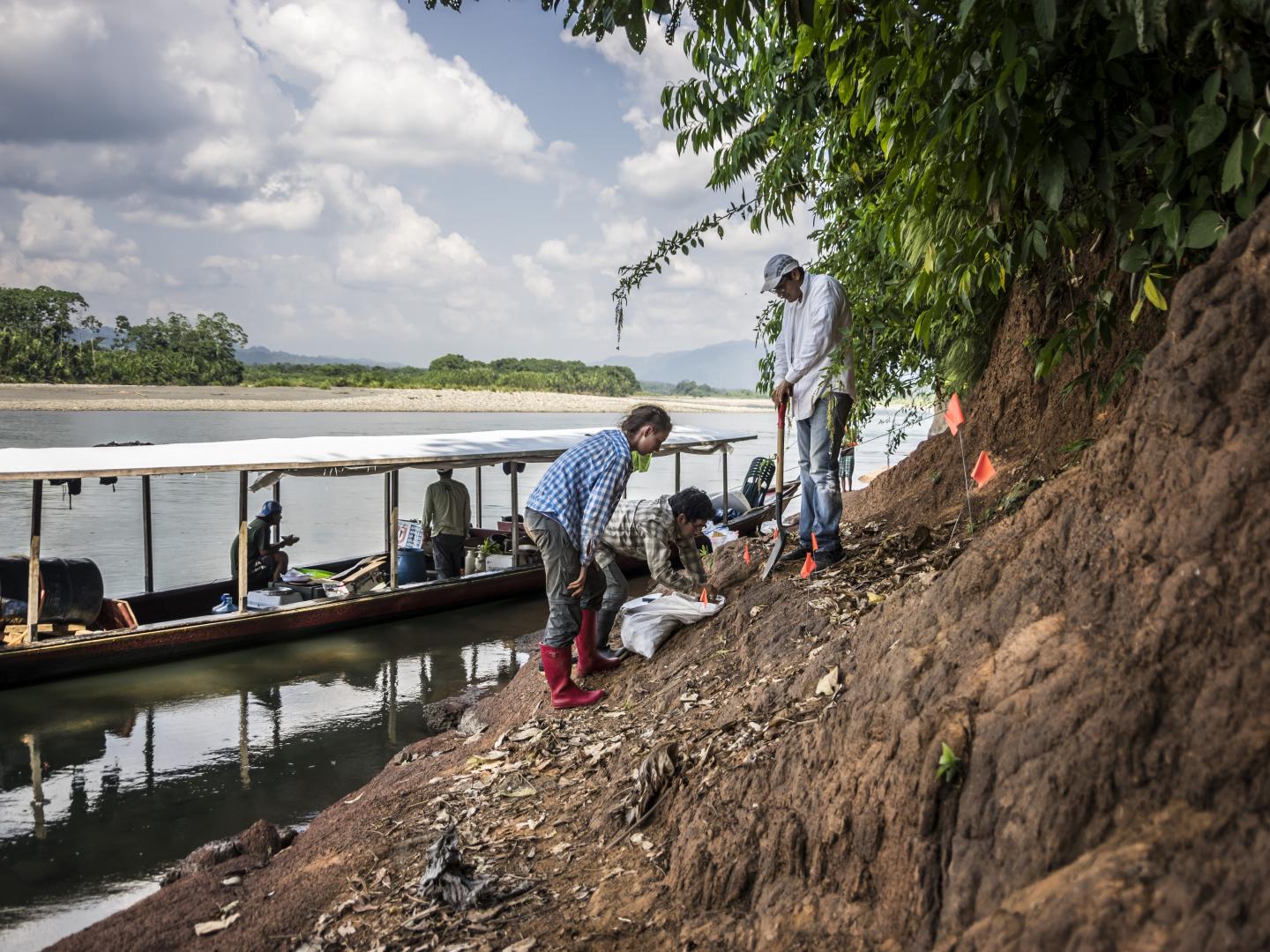 Banks of the Alto Madre de Dios River in Southern Peru