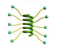 Helical Polypeptide with Long Side Chains