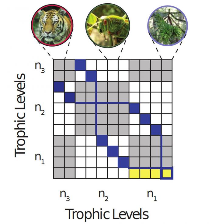 Interaction Matrix [IMAGE] EurekAlert! Science News Releases
