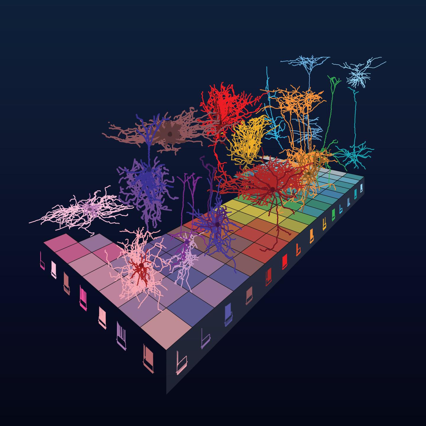 Periodic Table of the Brain