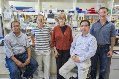 Berkeley Lab Thirdhand Smoke Researchers