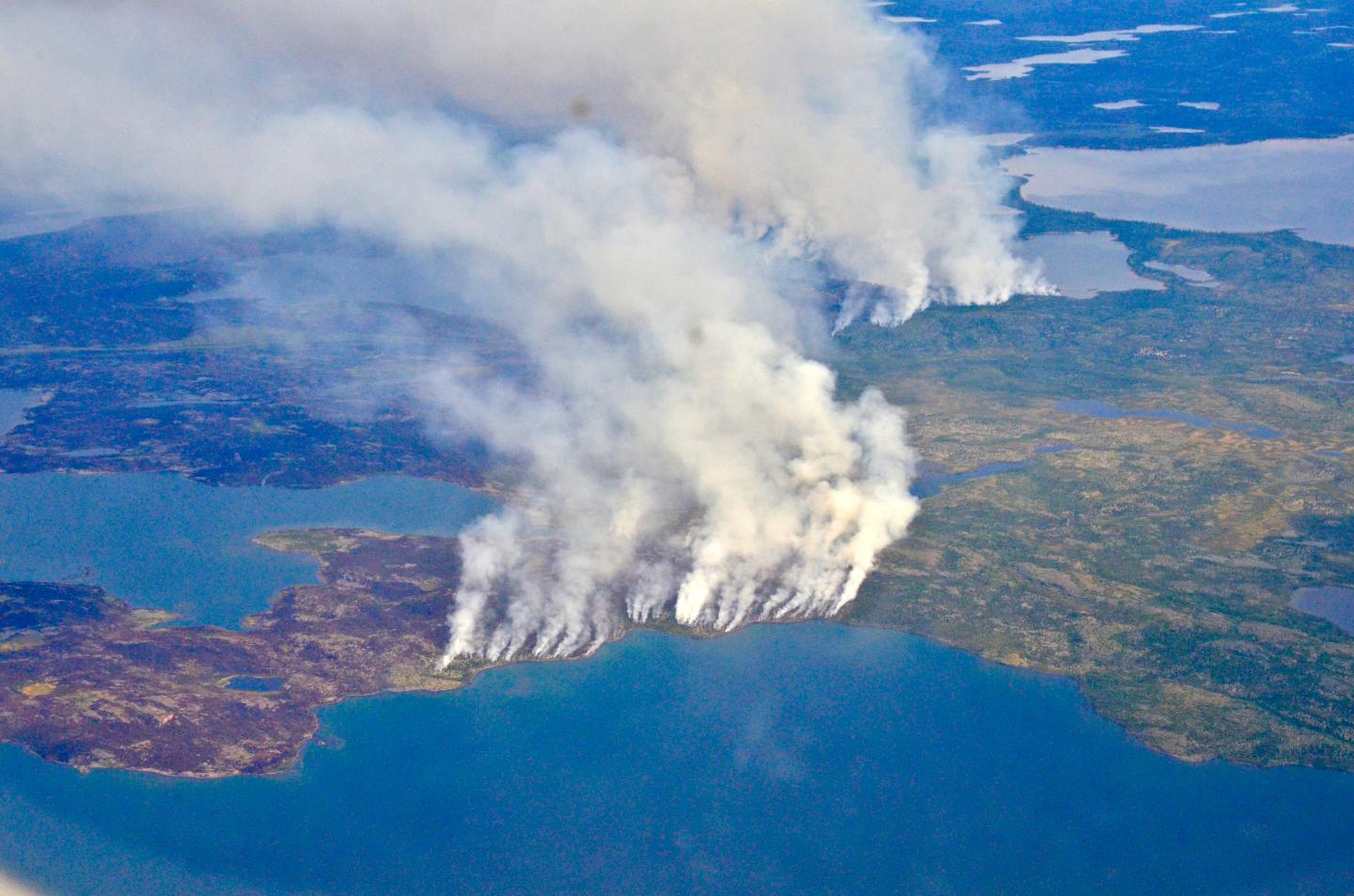 Fires, Floods and Satellite Views: Modeling the Boreal Forest's Future