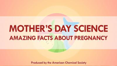 Mother's Day Science: Reactions Highlights Amazing Facts about Pregnancy