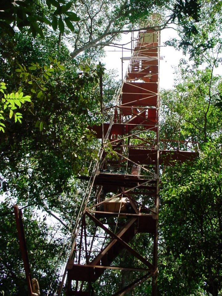 Micrometeorological Tower In Northern Matto Grosso, Brazil