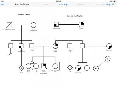 Sample Pedigree