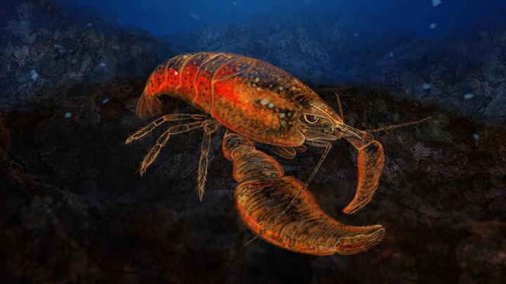 Digital Illustration of the New Species