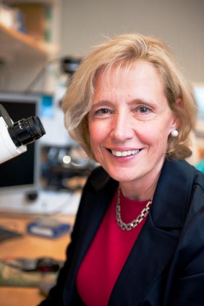 Barbara Canlon, Karolinska Institutet