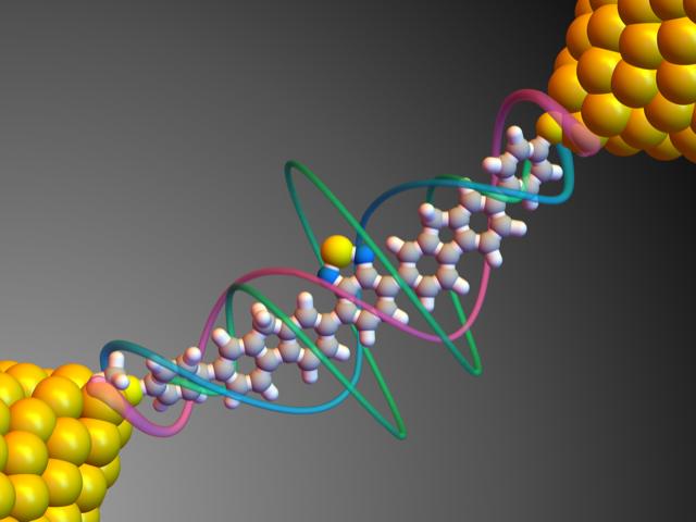 Harnessing Quantum Properties to Create Single-Molecule Devices