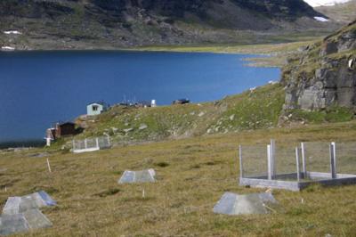 Arctic Getting Greener (1 of 2)