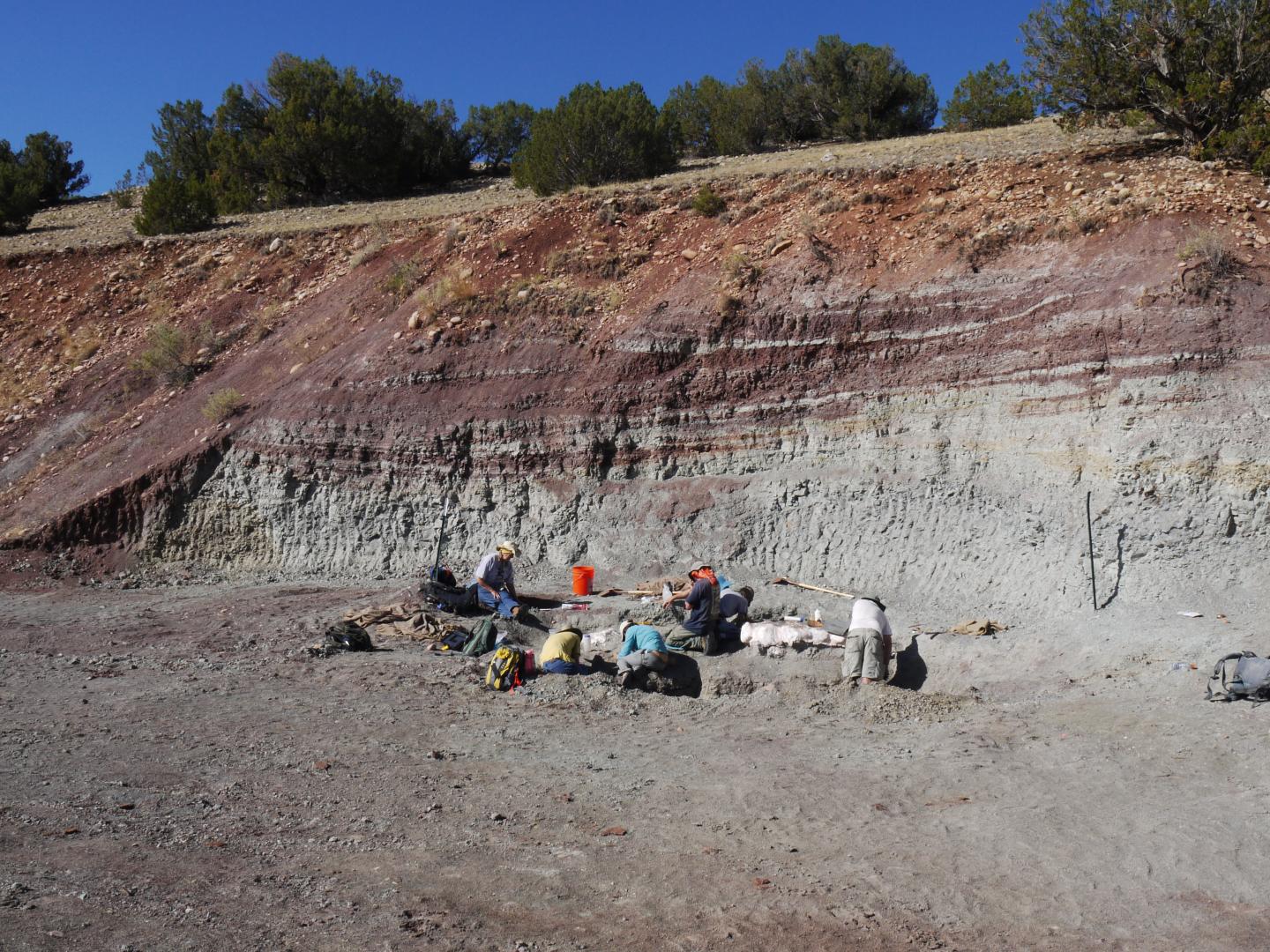 Ghost Ranch Fossil Quarry
