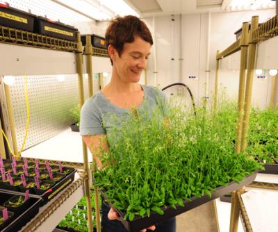 Elizabeth Haswell, Washington University in St. Louis