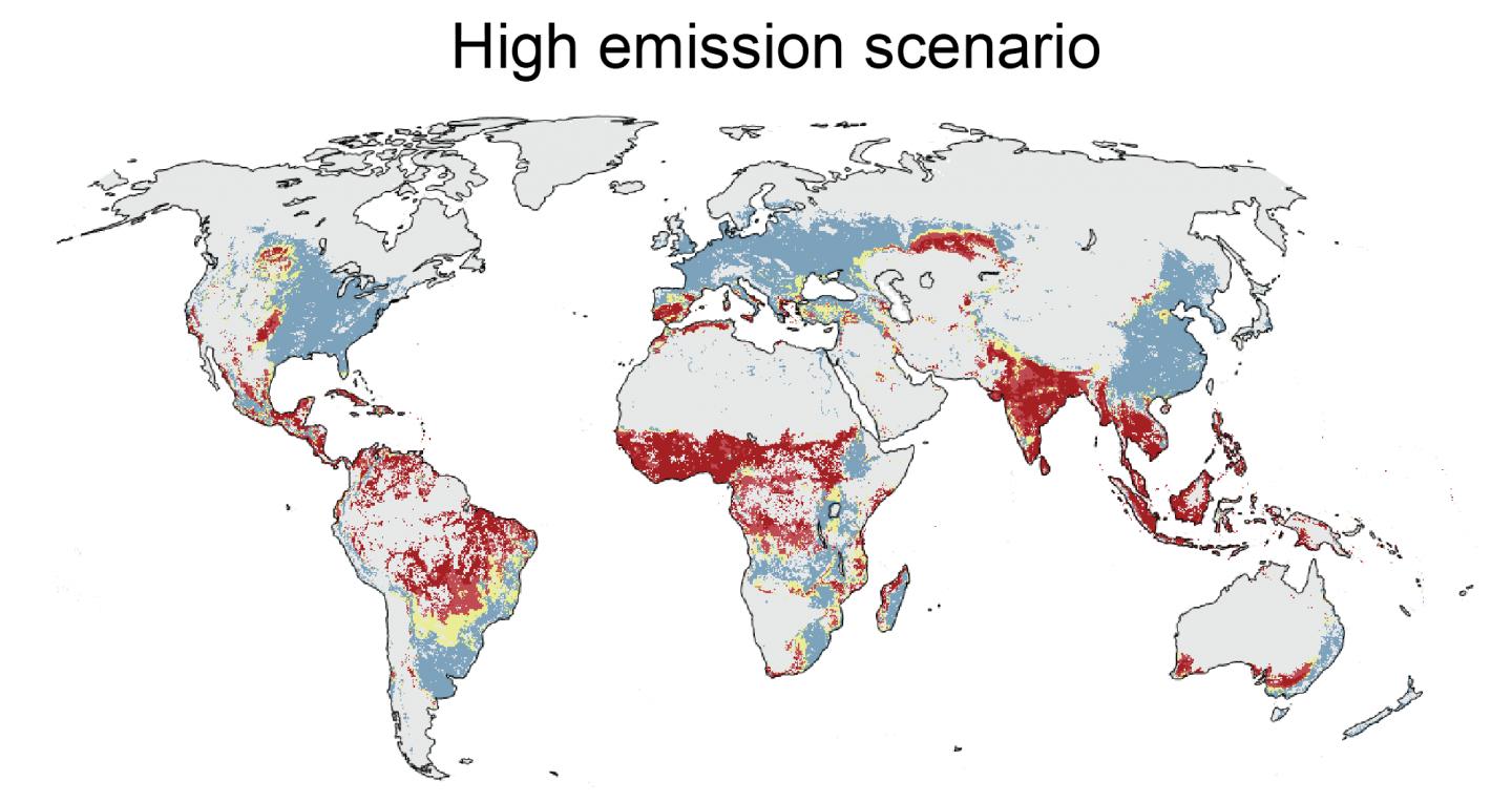 Close-up of global high emissions scenario