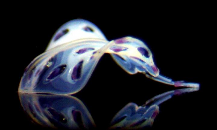 3D shape created in Yum's lab