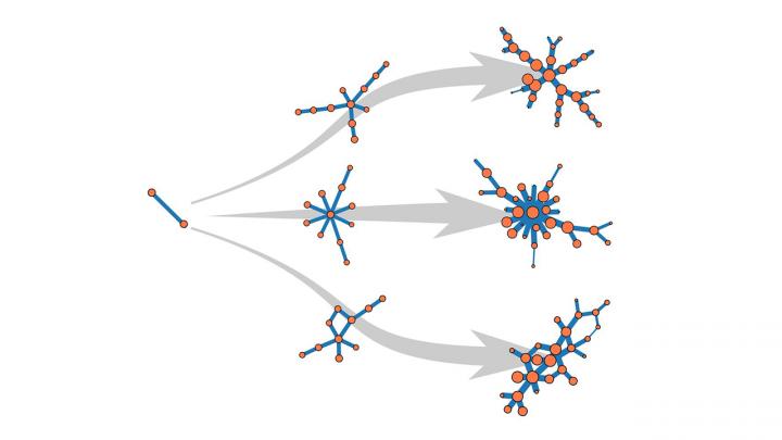 Three possible histories for a growing network
