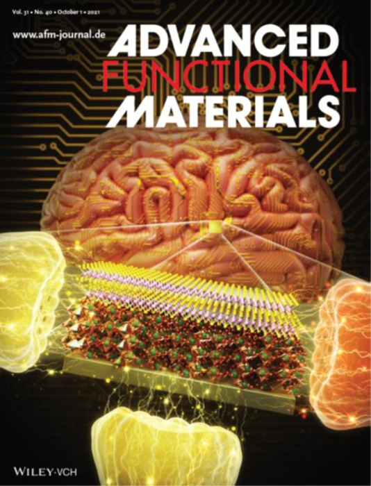 1. Cover paper of the October issue of Advanced Functional Materials