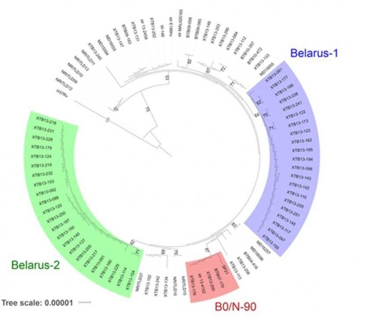 Fig. A New Classification Approach