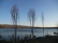 Lake Tislit Cedar Forests