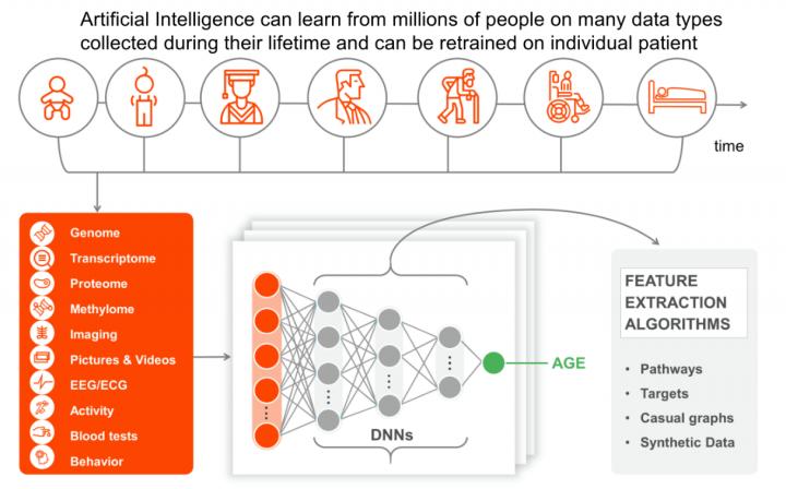 Deep Longevity is focused on AI for biomarker development