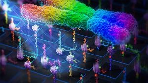 MUSCLE paves the way for genome-scale single-molecule biophysics by enabling the comprehensive profiling of sequence dependence at the single-molecule level.