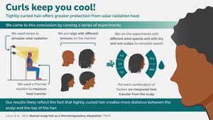 Curls keep you cool research graphic