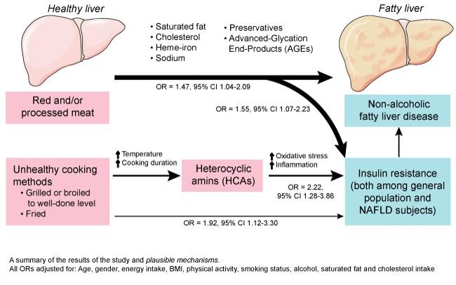 High Consumption of Red and Processed Meat Linked to Non-Alcoholic Fatty Liver Disease and Insulin