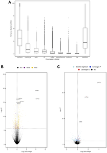 Summary of analysis of carcinogen exposure of organoids following adjustment for cell composition