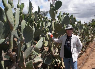 John Cushman, University of Nevada, Reno