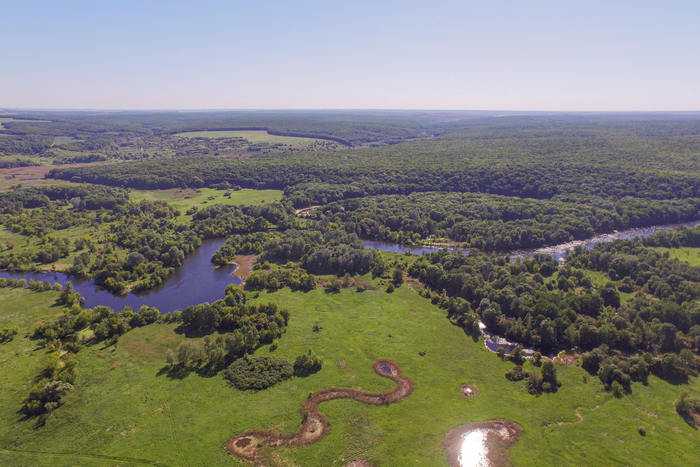 Old forests and riverine habitats in Eastern Ukraine